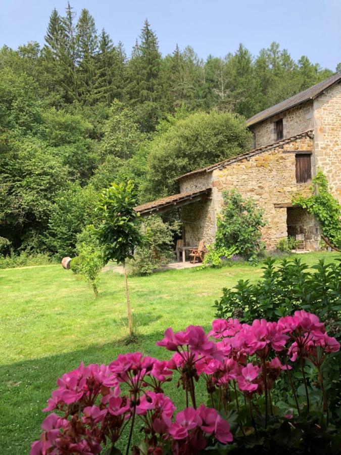 Le Moulin De La Farge B&B Saint-Moreil Exterior photo